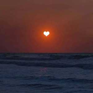 把移动公司小情人车震在线播放
