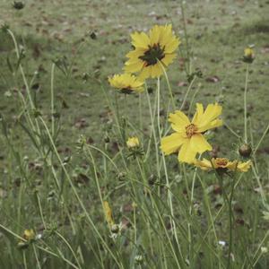 把移动公司小情人车震在线播放
