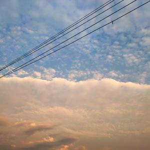 把移动公司小情人车震在线播放
